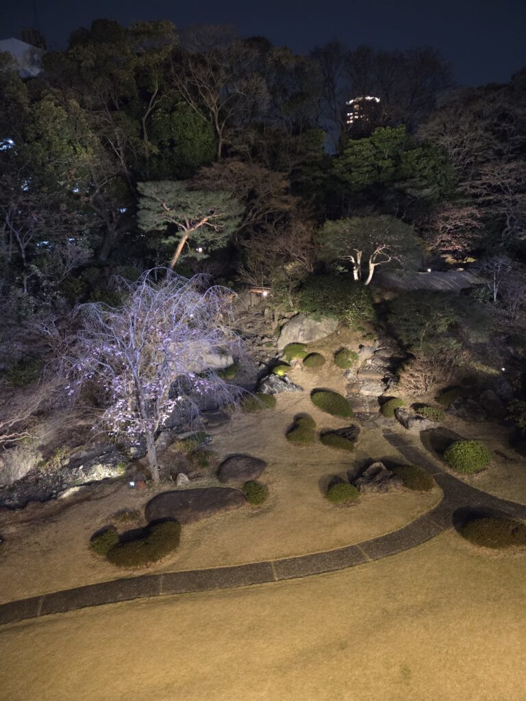 国際文化会館 3月庭園