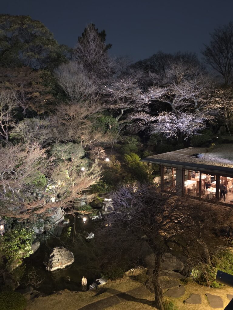 国際文化会館 3月庭園