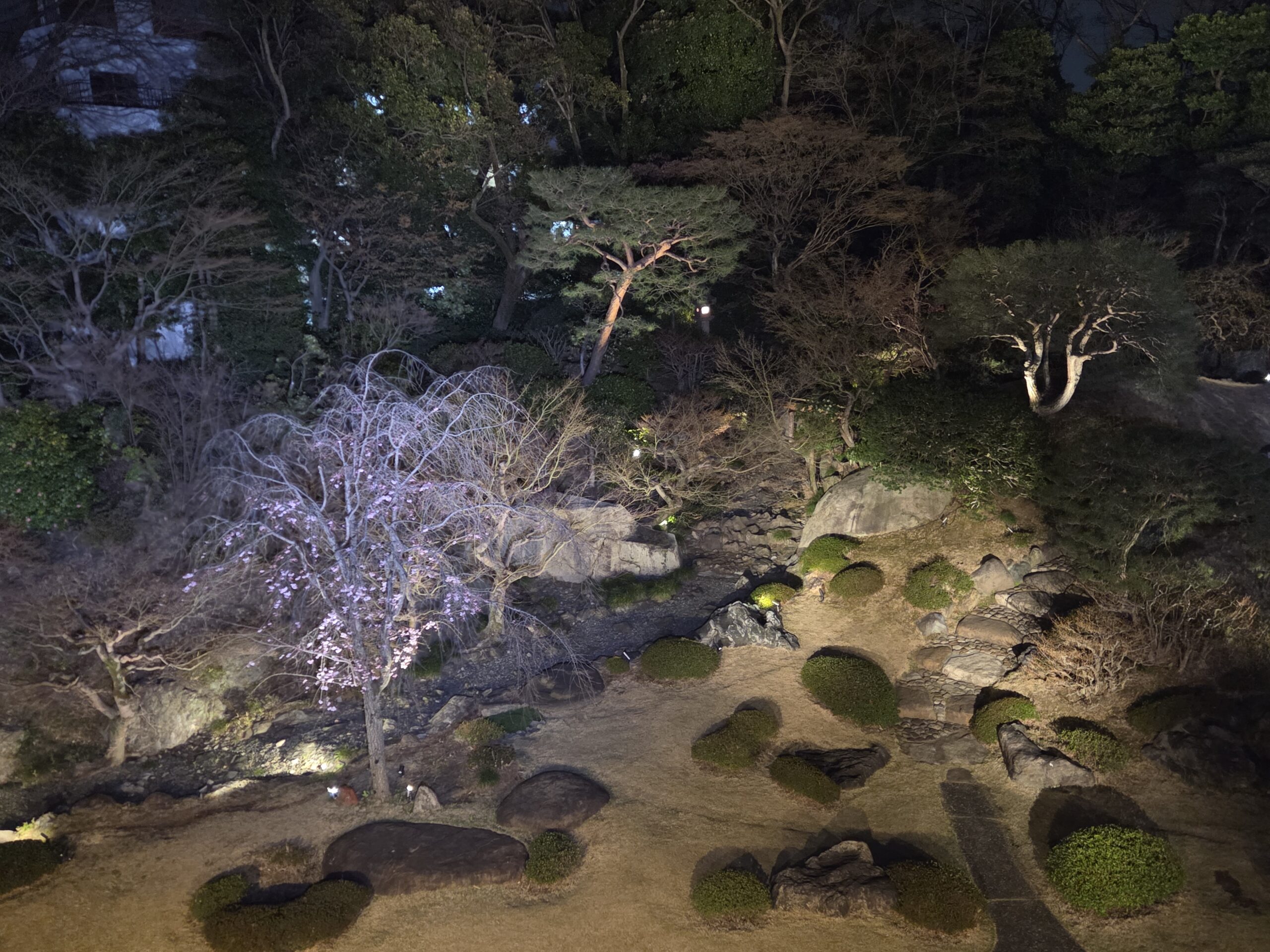 国際文化会館 3月庭園