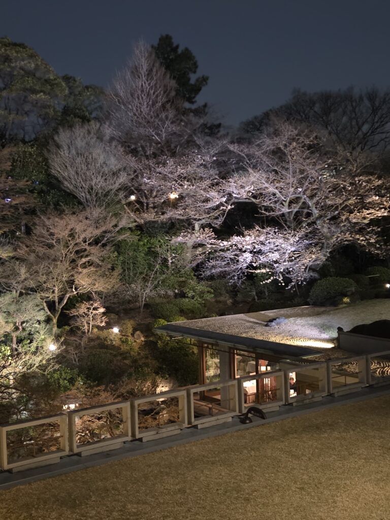 国際文化会館 3月庭園