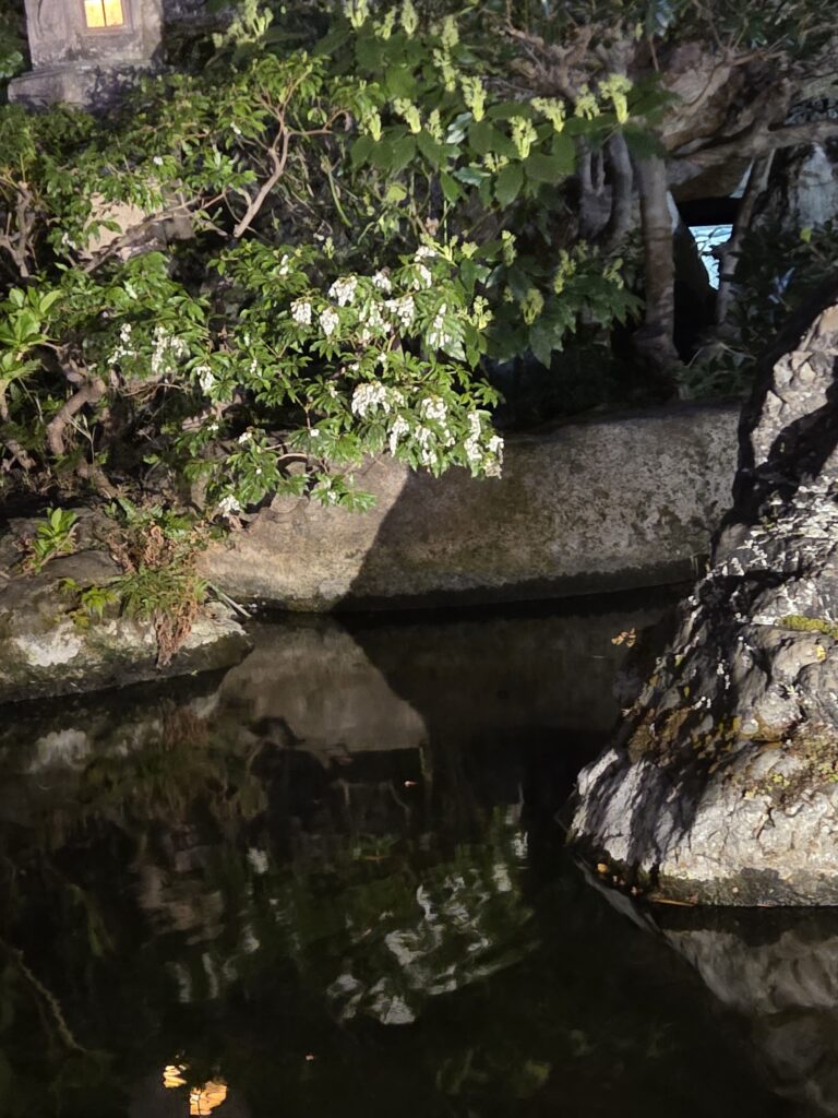 国際文化会館 3月庭園