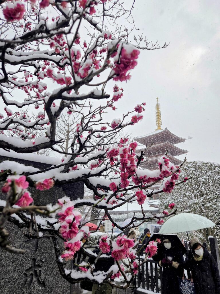 雪の浅草