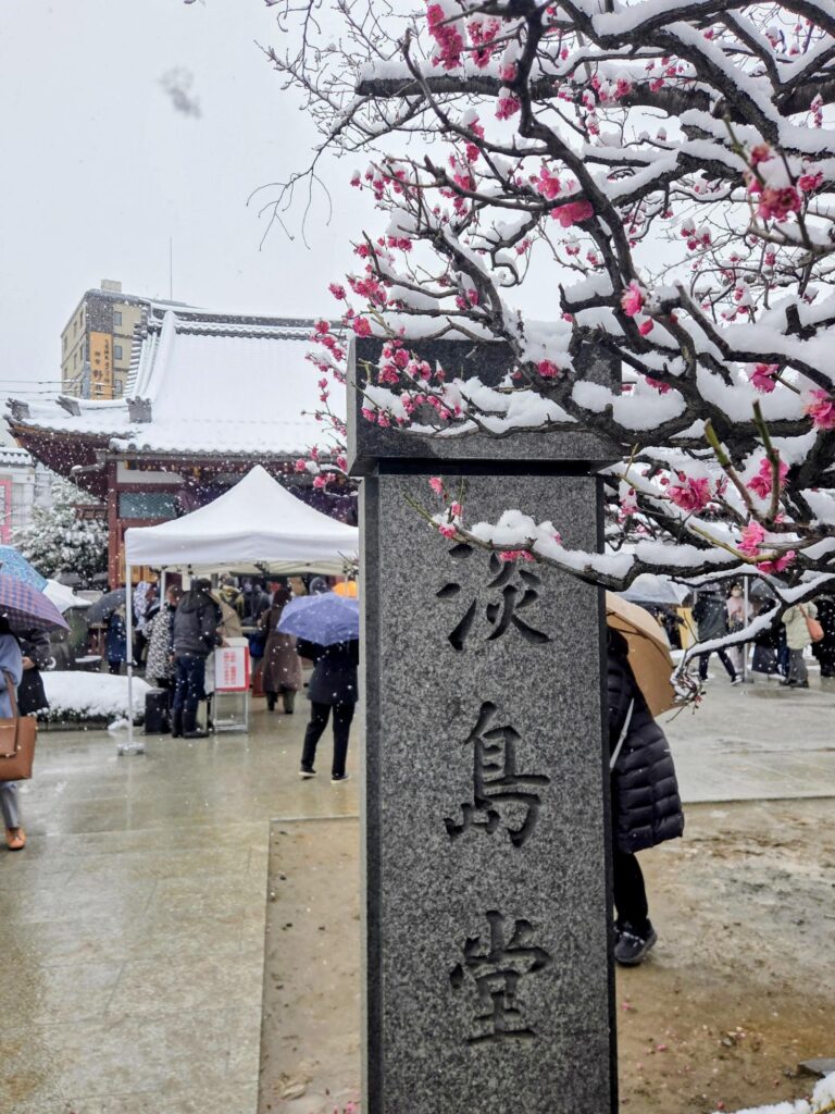 雪の淡島堂