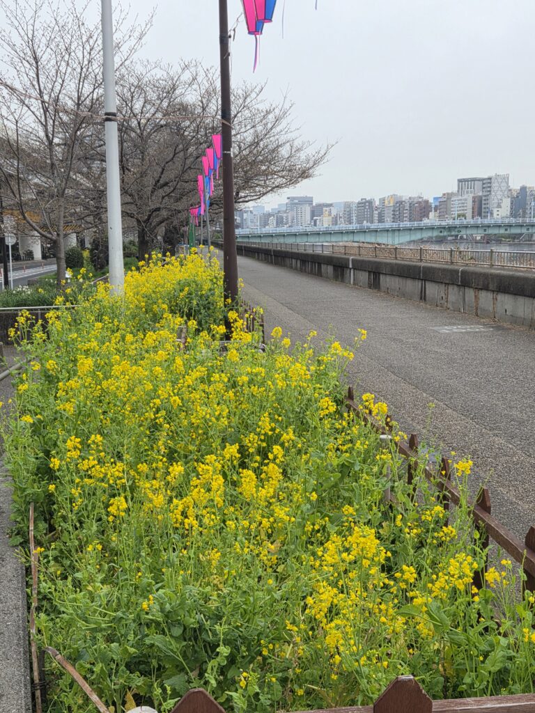 朝活