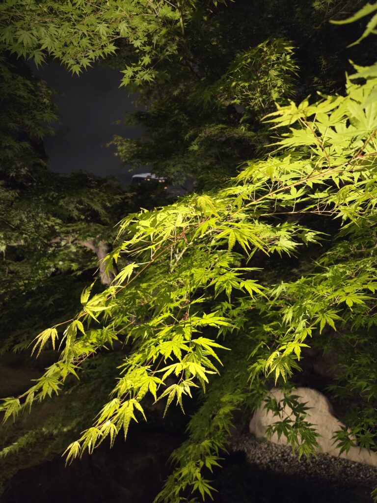 庭園ライトアップ
