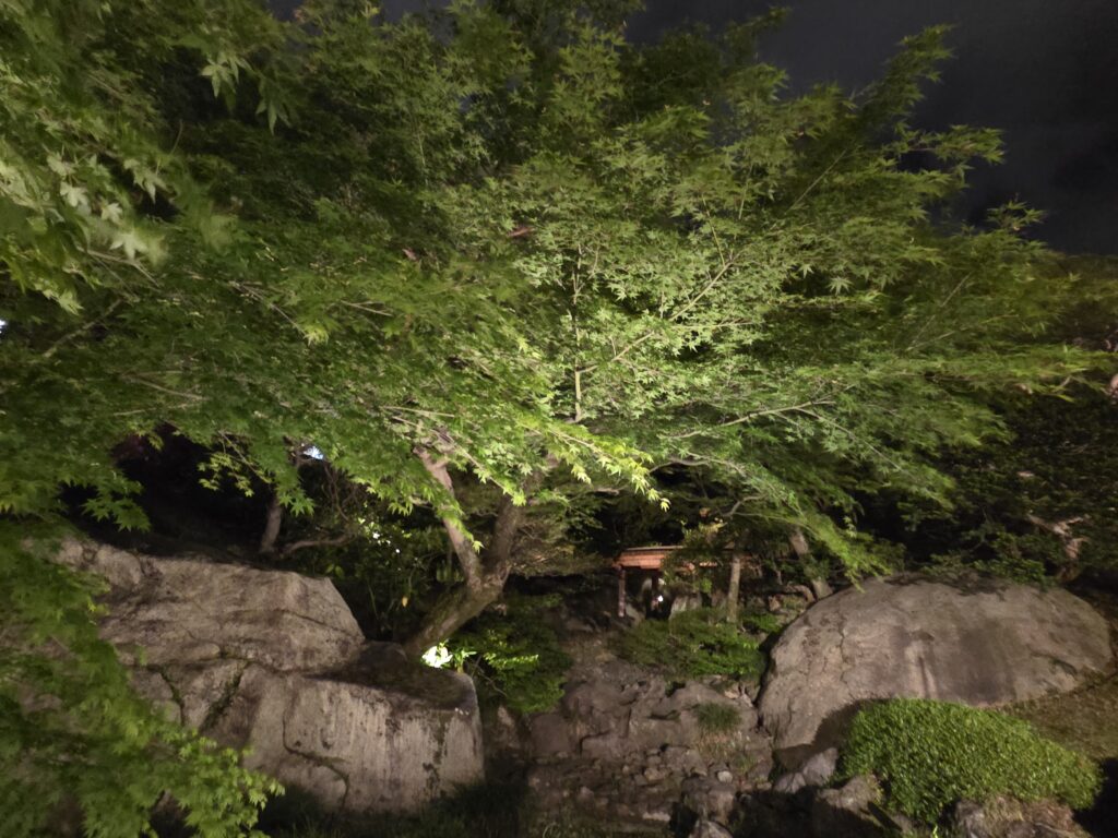 庭園ライトアップ
