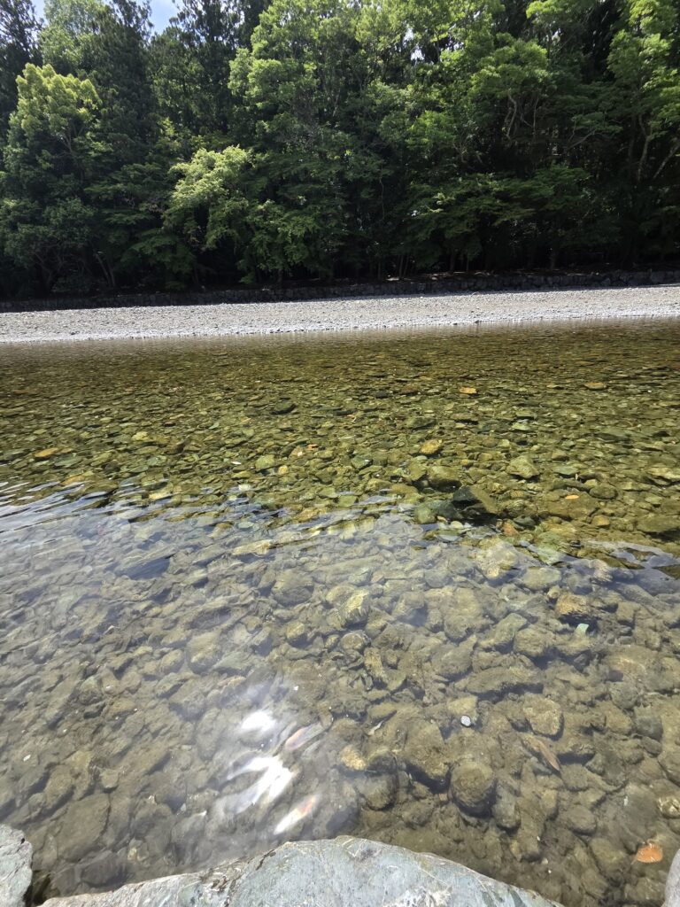 五十鈴川