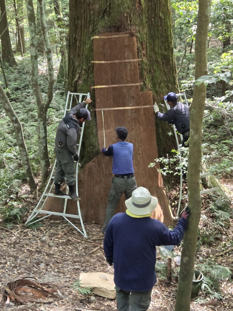 お伊勢参り