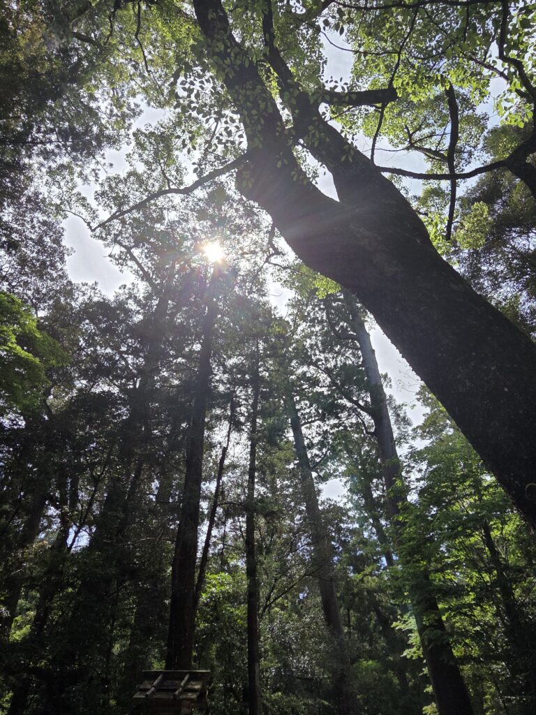 お伊勢参り