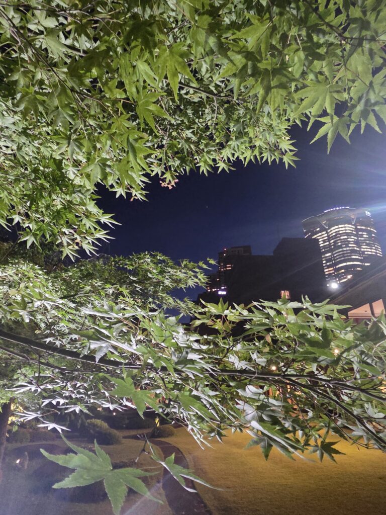 国際文化会館　庭園ライトアップ