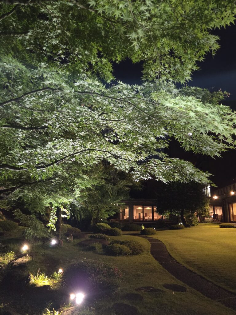 国際文化会館　庭園ライトアップ
新緑の庭園ライトアップ