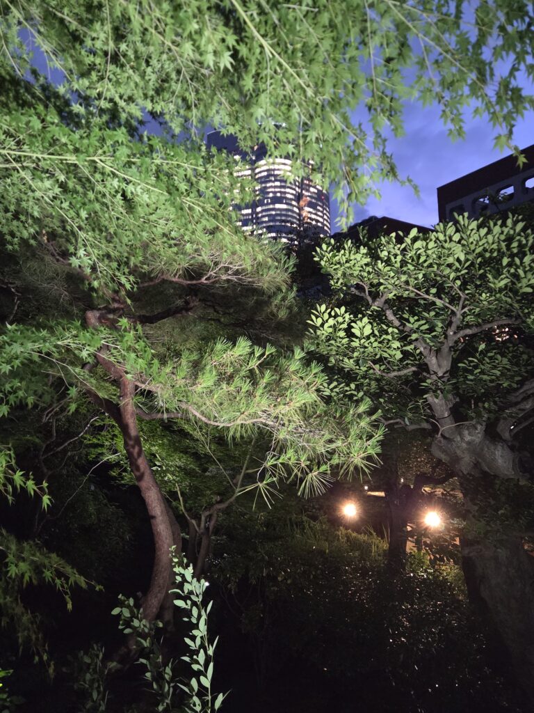 国際文化会館庭園ライトアップ