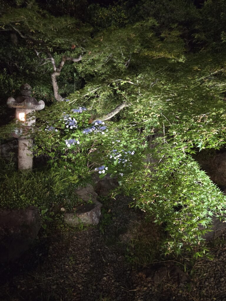 国際文化会館庭園ライトアップ