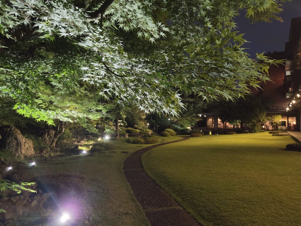 国際文化会館庭園ライトアップ