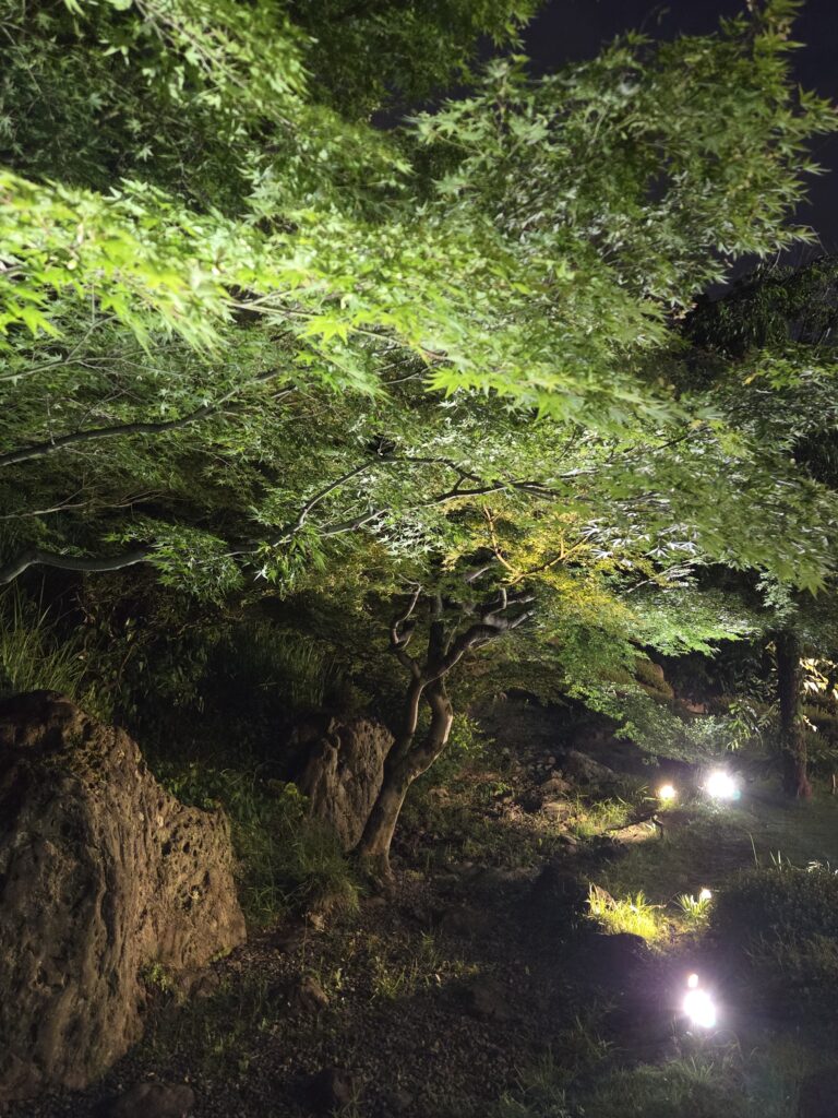 国際文化会館庭園ライトアップ