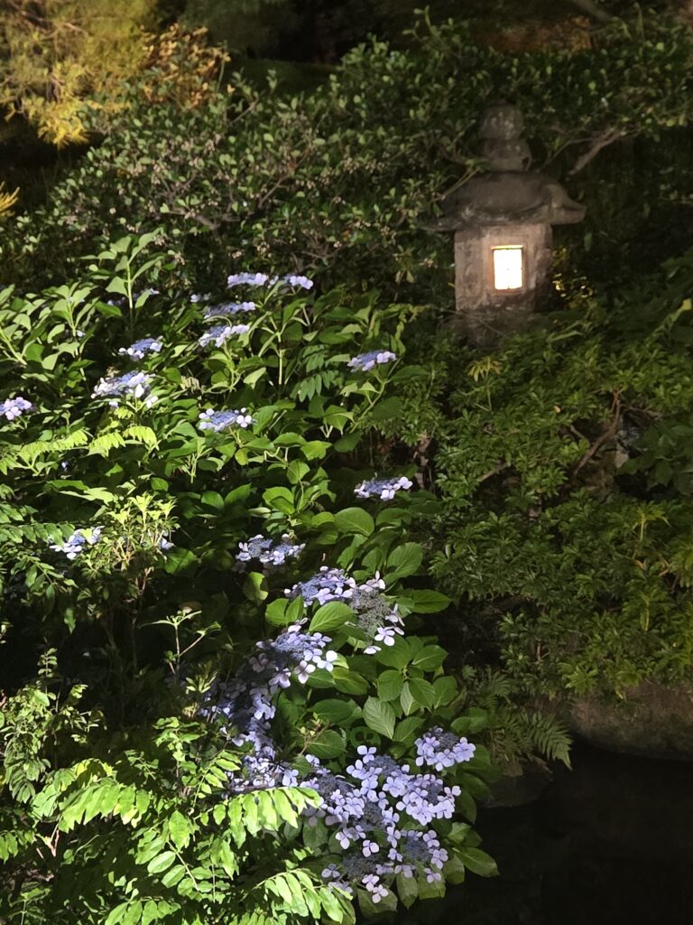 国際文化会館庭園ライトアップ