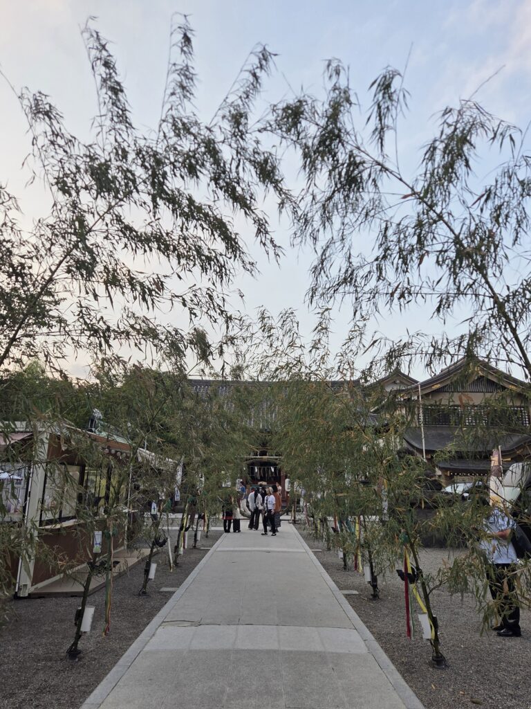 浅草神社 夏越の大祓 夏詣
