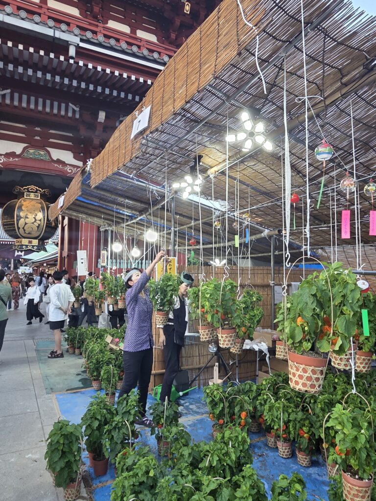 ほおずき市　浅草寺