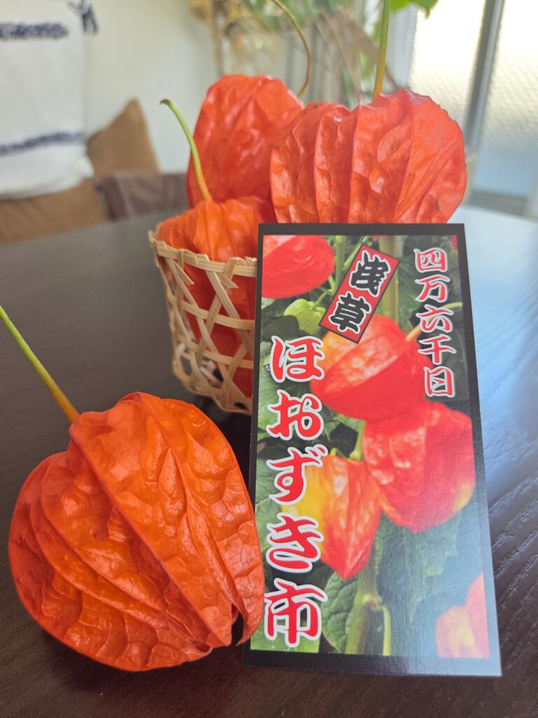 ほおずき市　浅草寺