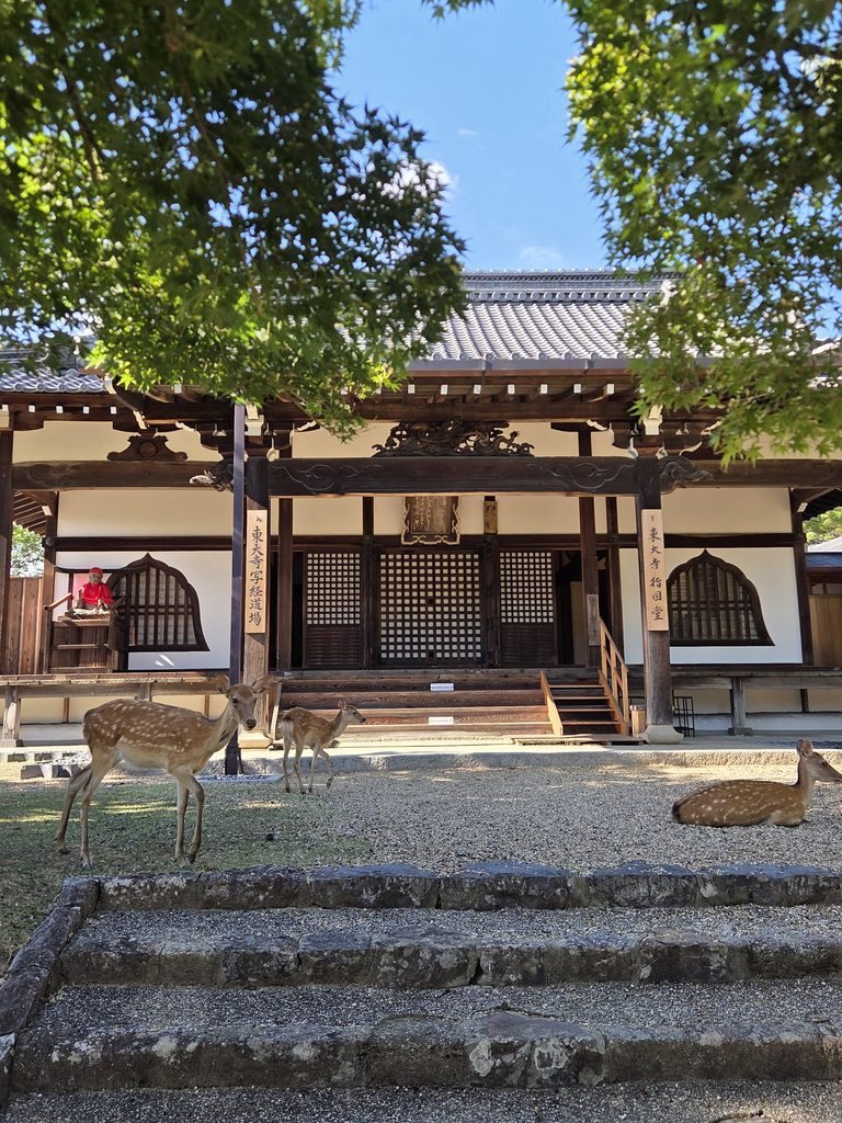 東大寺指図堂