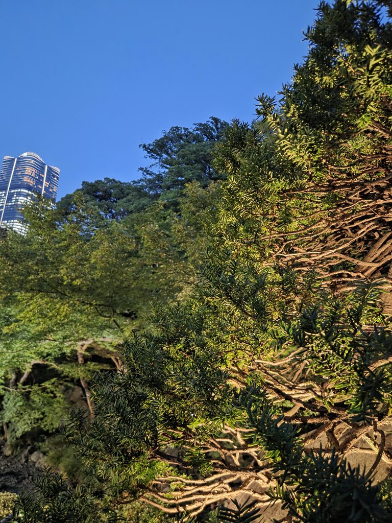 国際文化会館 旧岩崎邸庭園