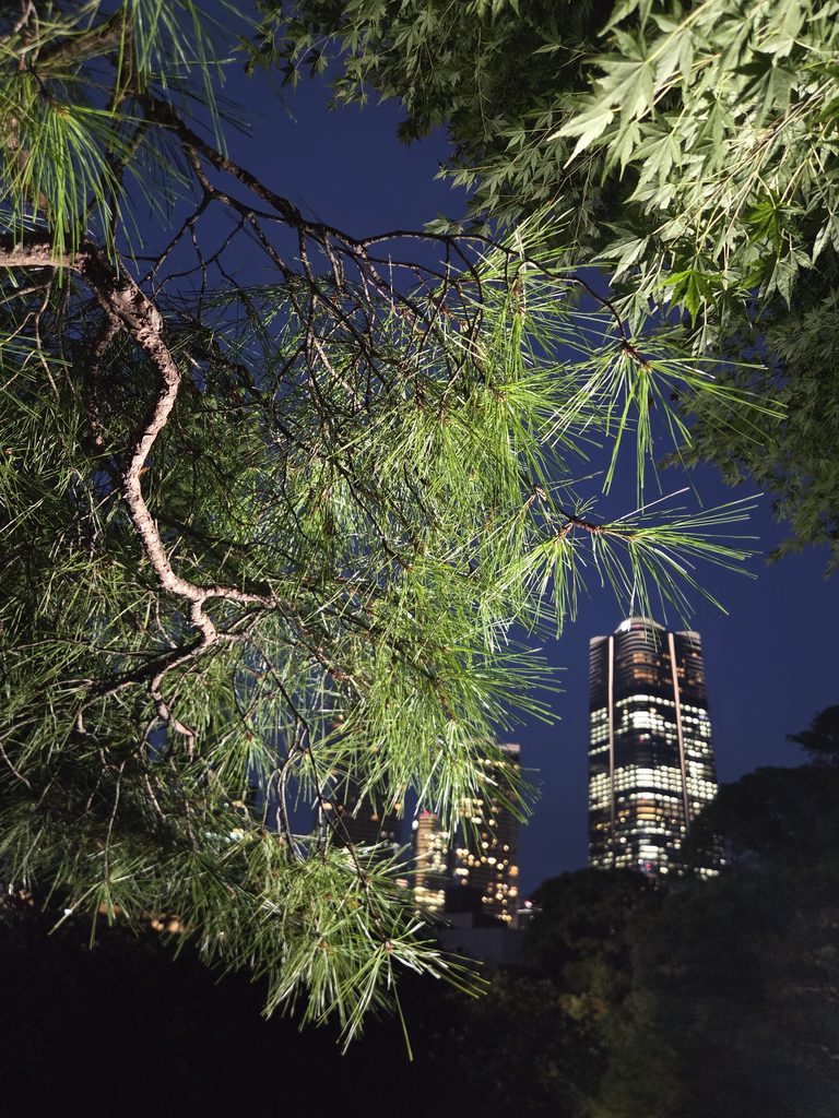 国際文化会館 旧岩崎邸庭園