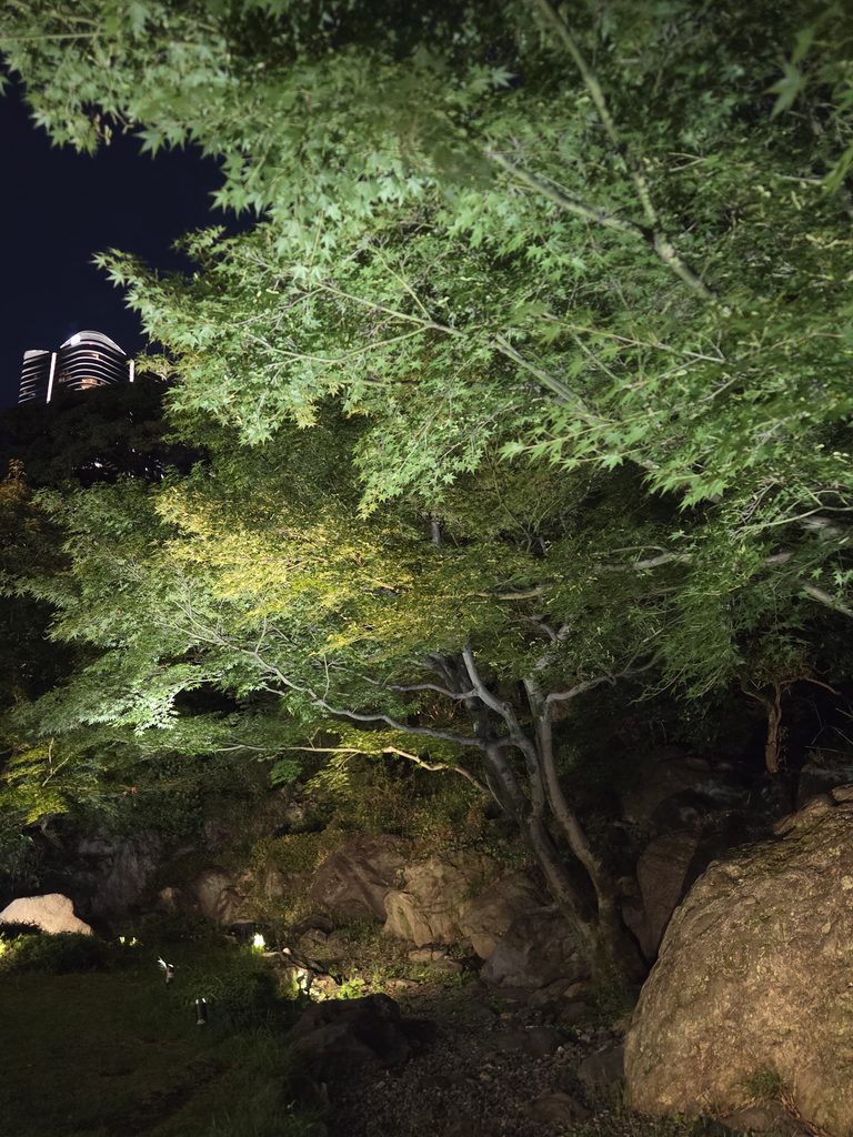 国際文化会館 旧岩崎邸庭園