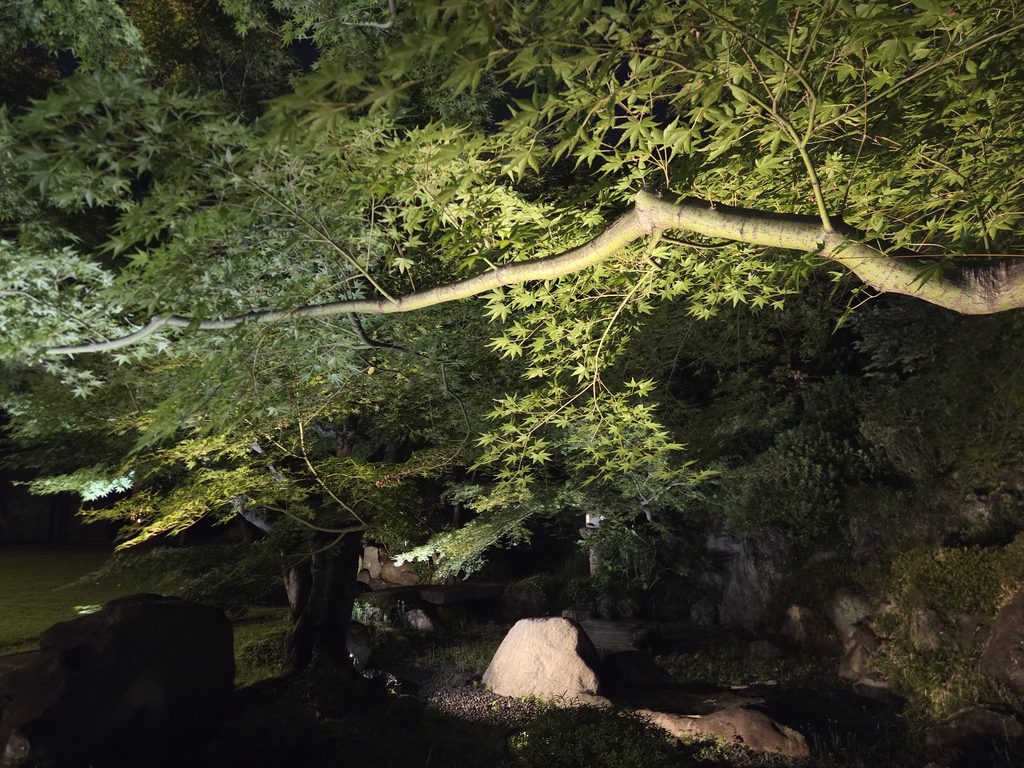 国際文化会館 旧岩崎邸庭園
