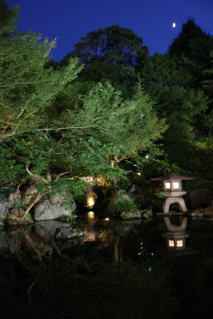 国際文化会館 旧岩崎邸庭園
庭園ライトアップ