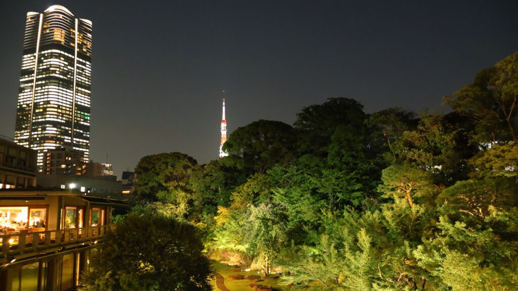 国際文化会館 旧岩崎邸庭園
庭園ライトアップ