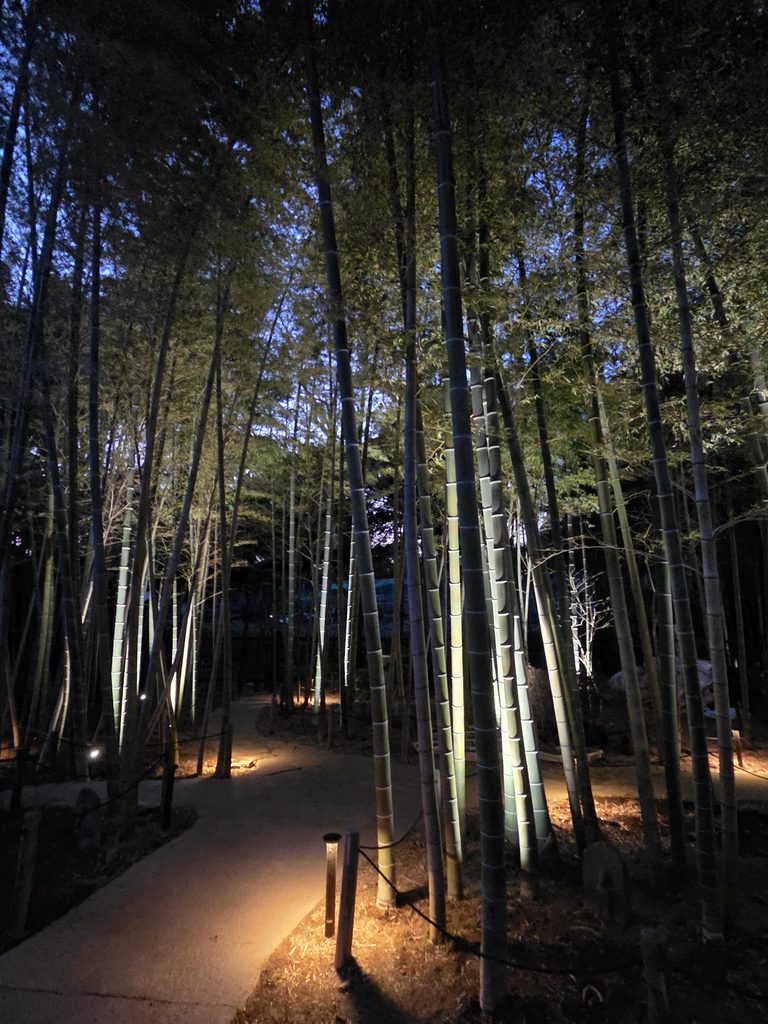 鎌倉 庭園の照明デザイン