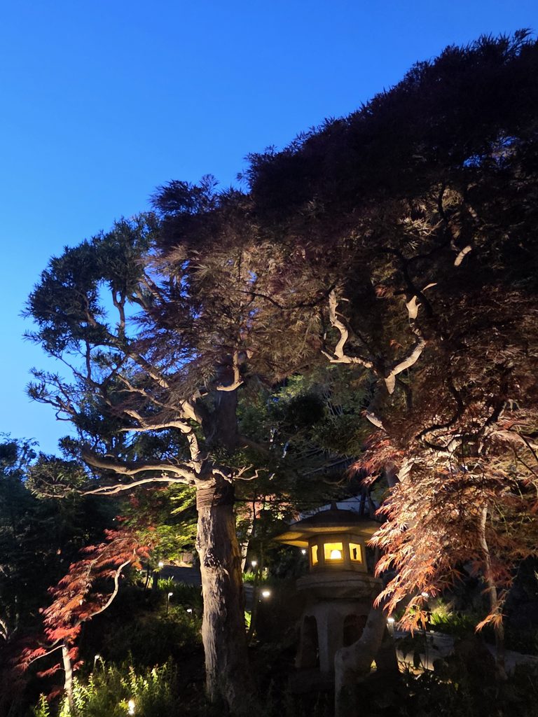 鎌倉 庭園の照明デザイン