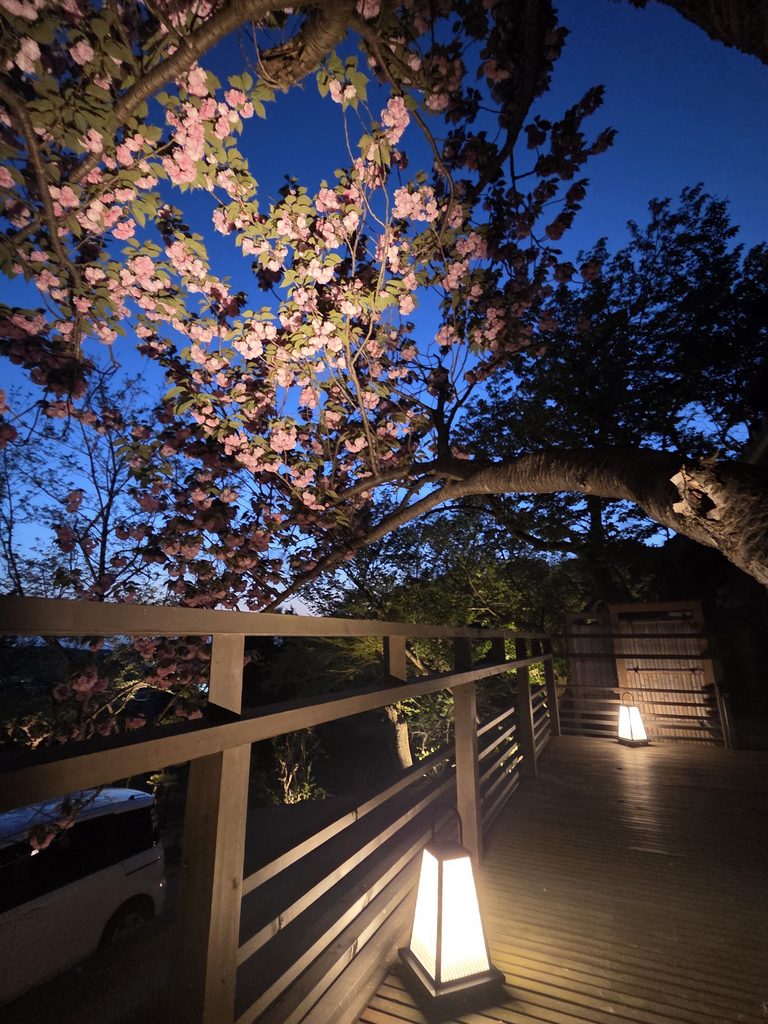 鎌倉 庭園の照明デザイン