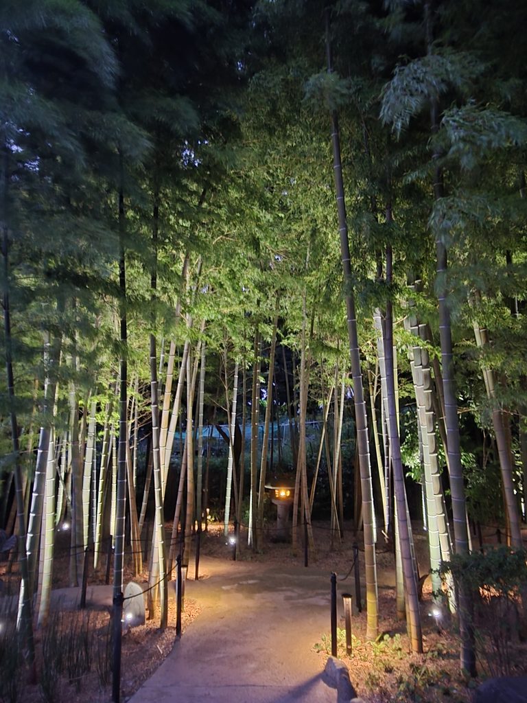 鎌倉 庭園の照明デザイン