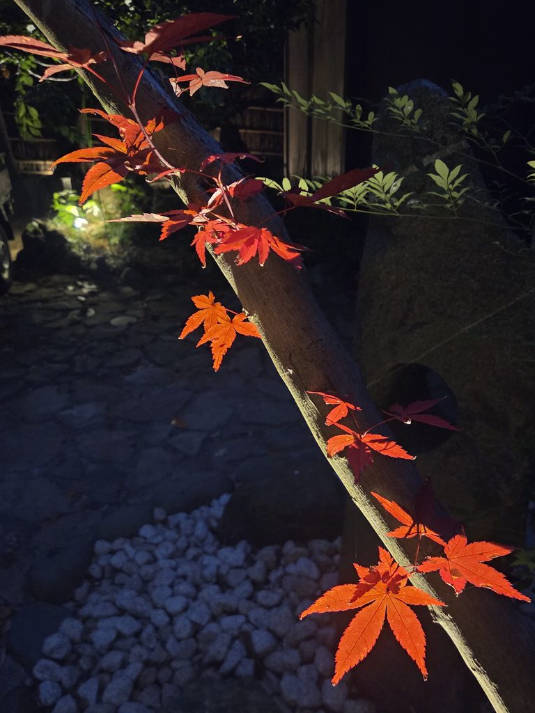 鎌倉 庭園の照明デザイン