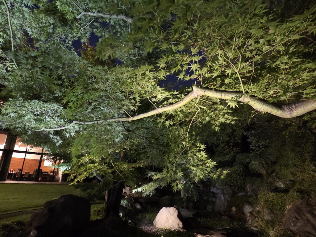 国際文化会館 旧岩崎邸庭園